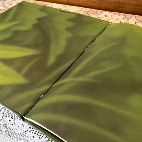 Verdi, Janell Cannon - Picture 3 of 9